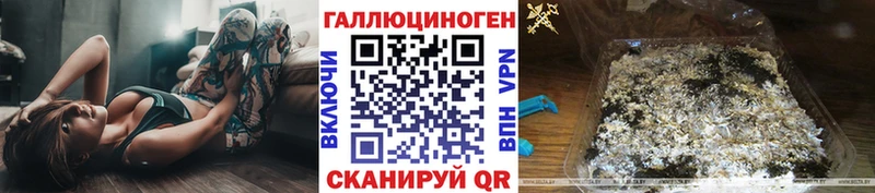 Псилоцибиновые грибы прущие грибы  Тында 