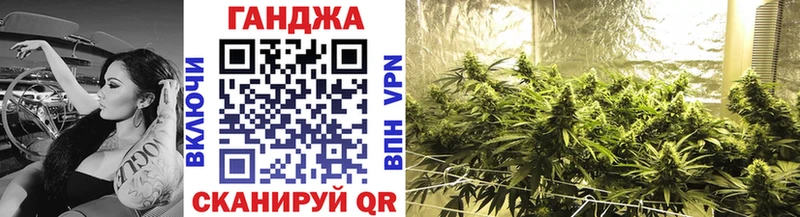 мориарти официальный сайт  закладка  Тында  Каннабис сатива 